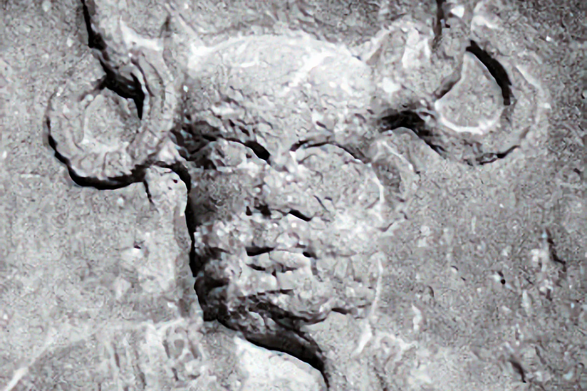 ▷ DIOSES CELTAS » Lista De Las Principales Deidades Celtas 4 Cernunnos