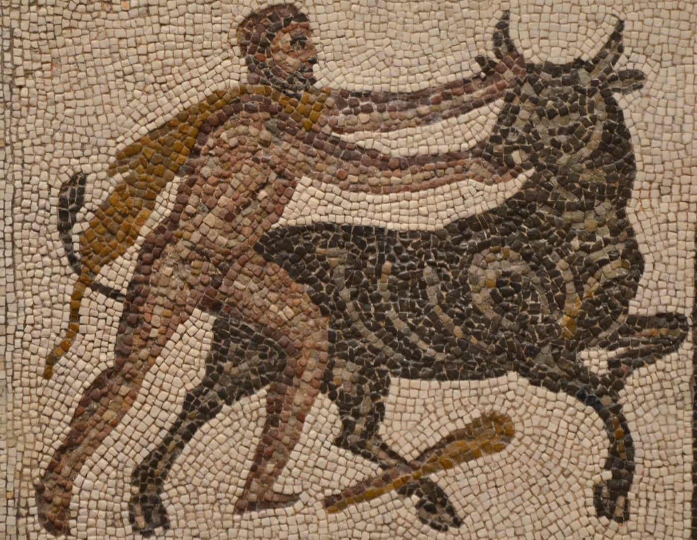Toro de Creta. Foto por Openverse.