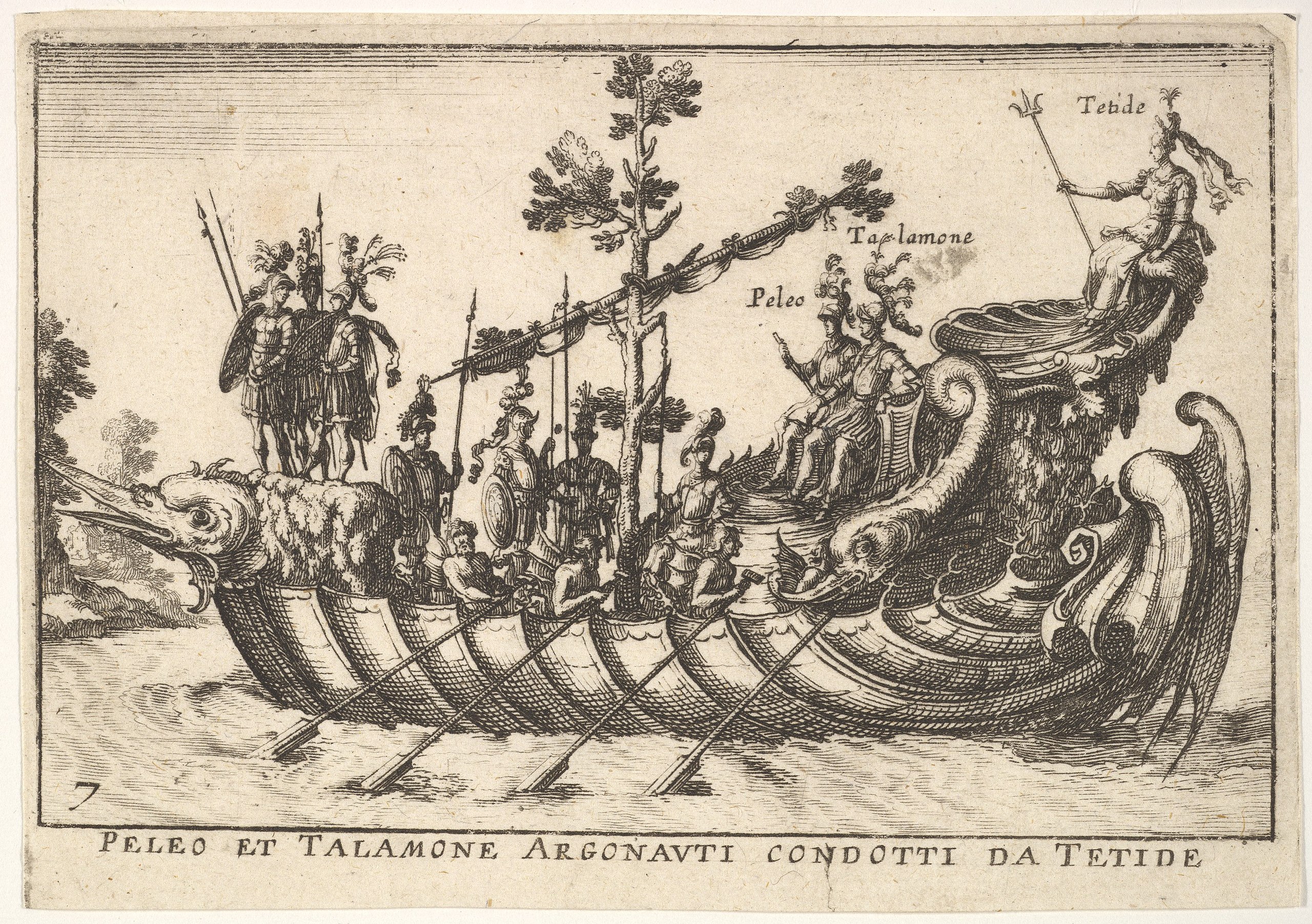 Argonautas. Foto del dominio público de Wikimedia Commons.