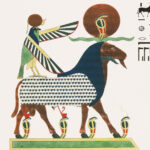 Amon Ra. Foto por Openverse.