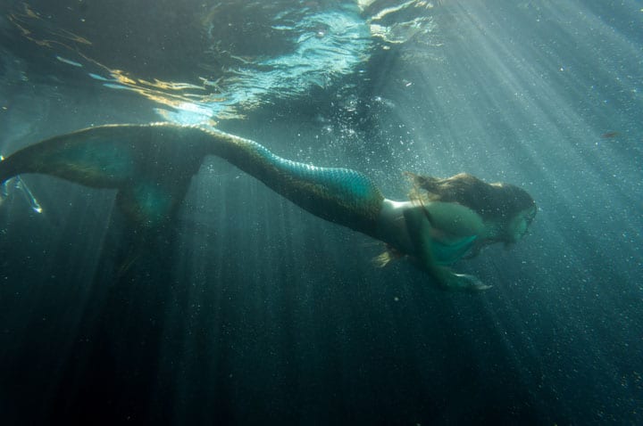 Seres Mitológicos 3 Sirena, ser mitológico
