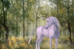 unicorn, forest, fairy tale
