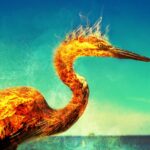 phoenix, flames, heron