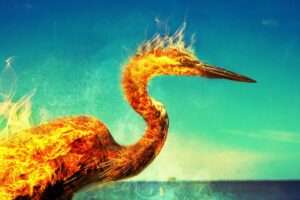 phoenix, flames, heron