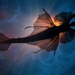mermaid, underwater, sea