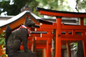 Inari. Foto por Openverse.